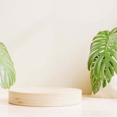 Circular Economy Services