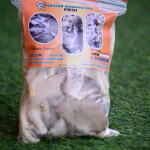 Fresh Oyster Mushrooms
